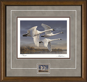Federal Duck Stamp Print 